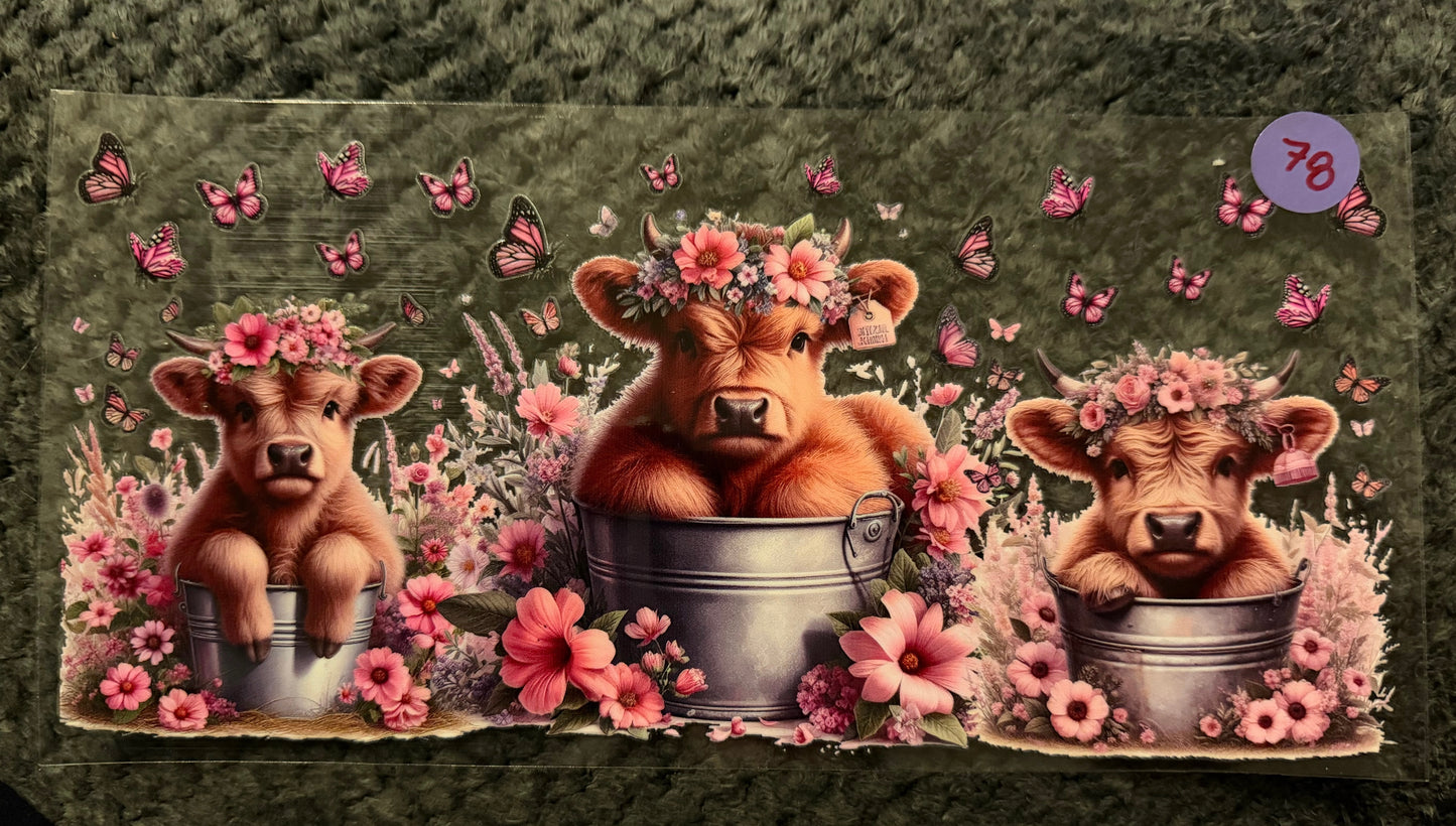 Highland Cow Wraps